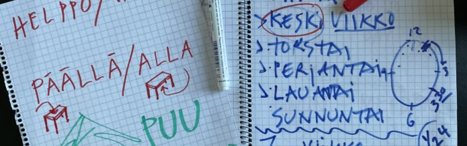 Lukutaitoharjoitus