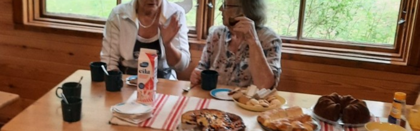 Ystävätoiminta