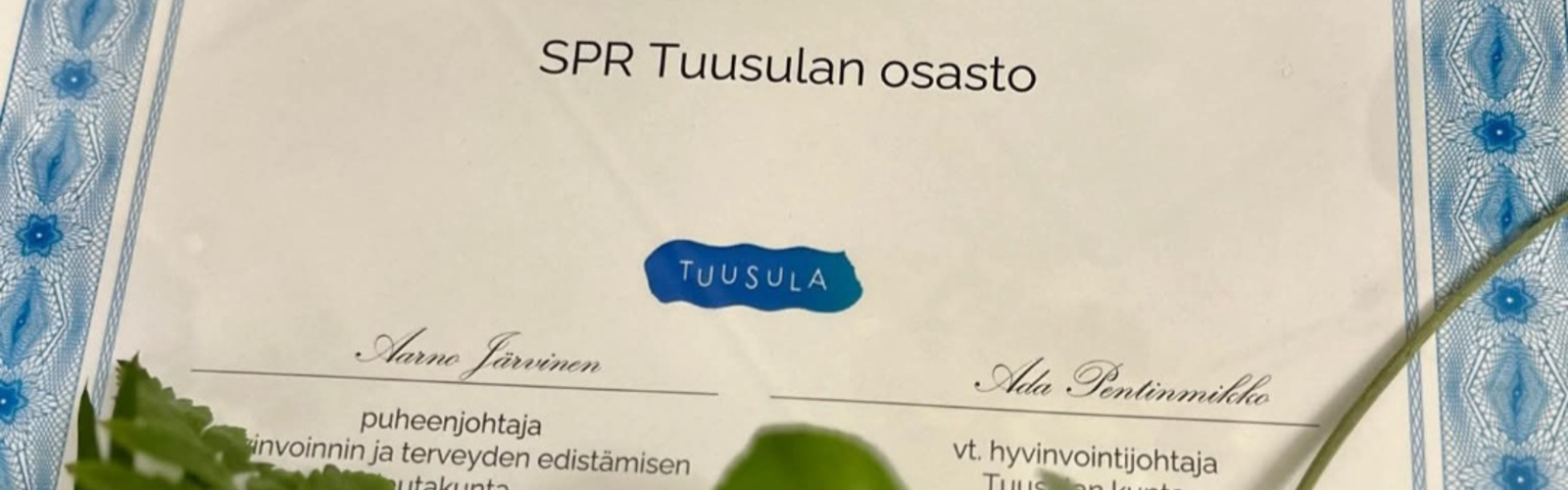 Hyvinvoinnin edistäjä 2025