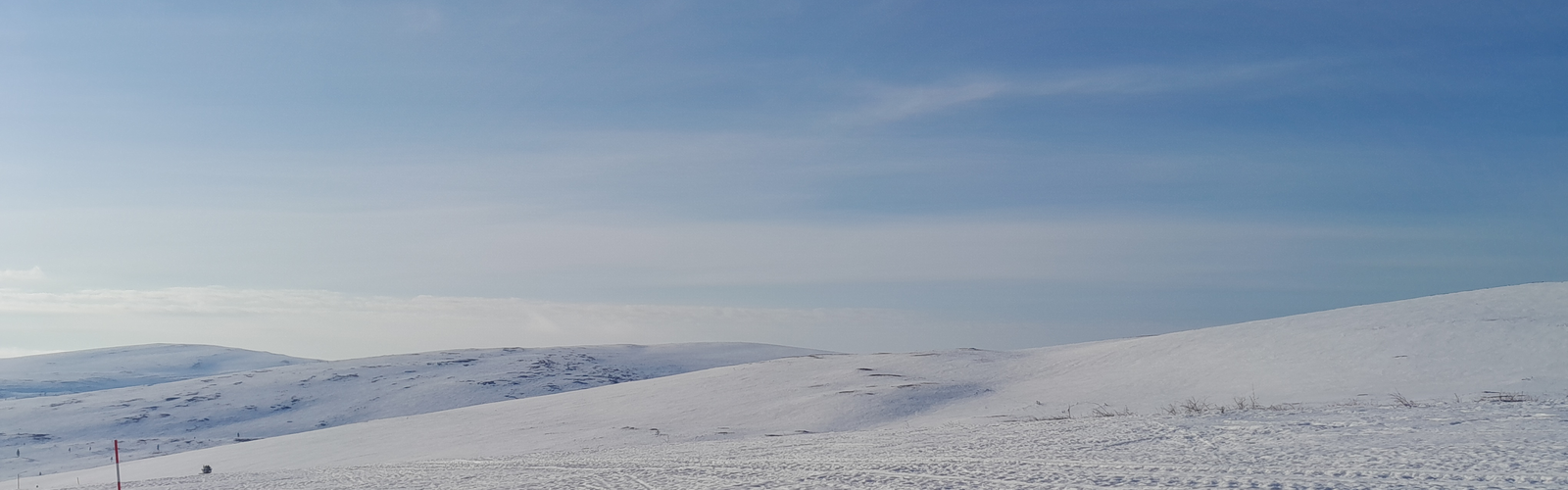 KevätmaisemaMatkallaPaivystykseen